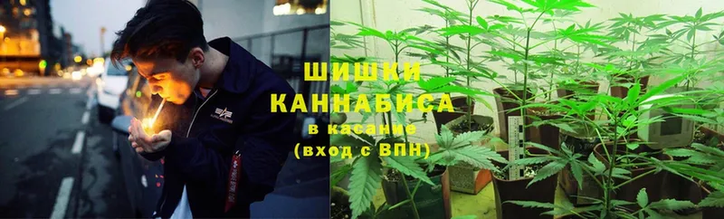 Бошки марихуана Bruce Banner  Ишимбай 